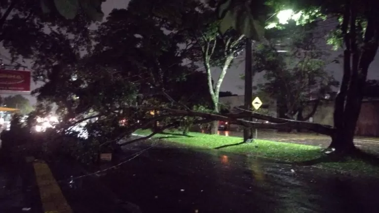 Vendaval causa estragos e mobiliza equipes de emergência em Foz do Iguaçu