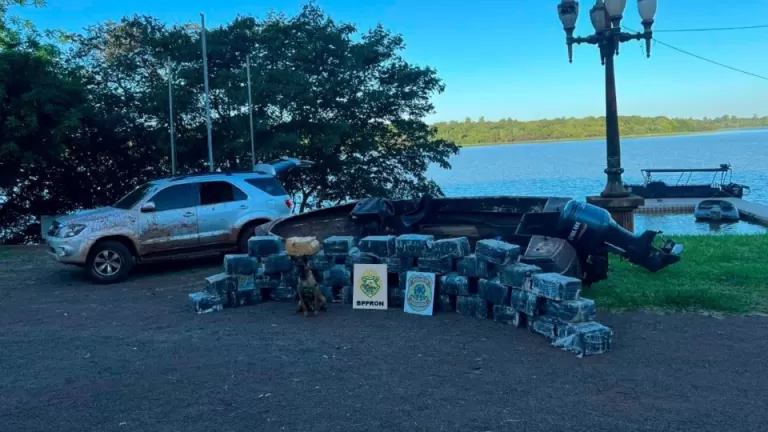 Mais de 800 quilos de maconha são apreendidos em Pato Bragado