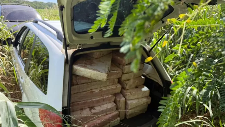 Polícia apreende mais de uma tonelada de maconha na região do Lago de Itaipu