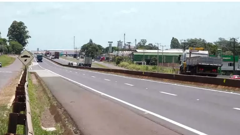 Sete mortes por atropelamento são registradas em rodovia na região de Cascavel em 2025