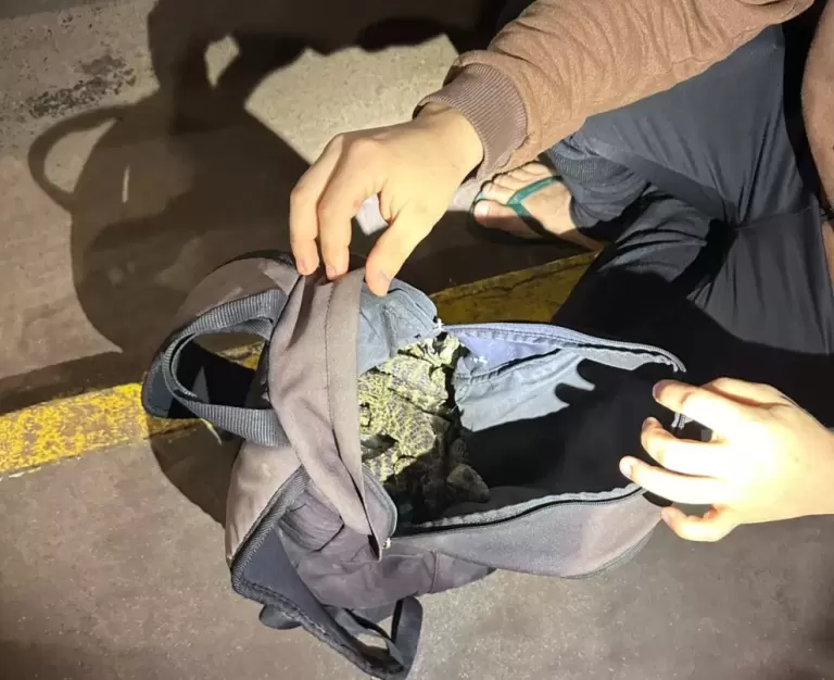 Operação Fronteira RFB apreendeu mais de R$ 160 milhões em mercadorias em todo o país