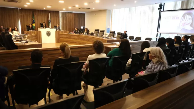 Alep debate ações integradas para fortalecer políticas de enfrentamento à violência contra a mulher no PR