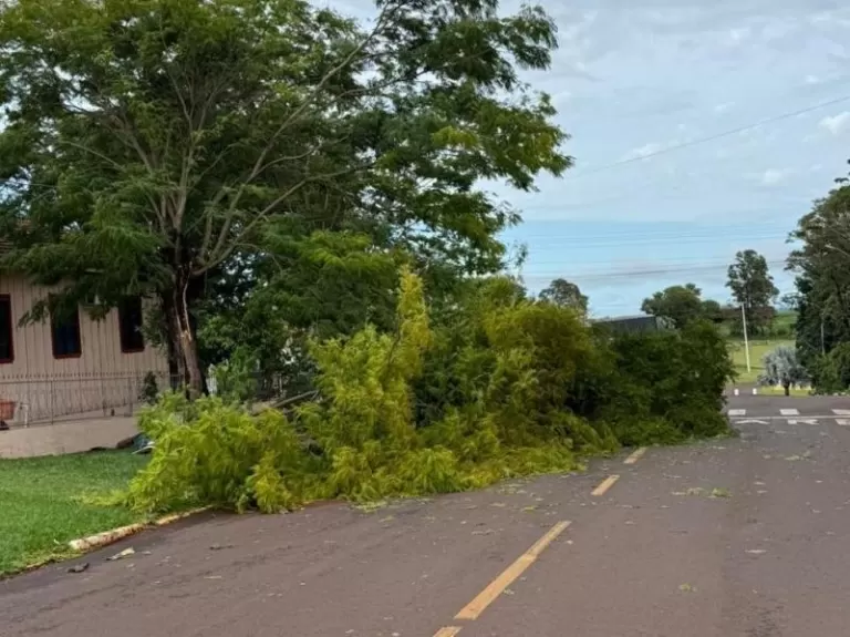 Temporal derruba árvores e deixa casas sem energia em Mercedes
