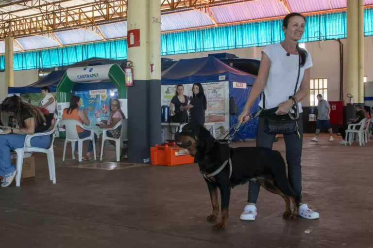 Centro de Eventos Ismael Sperafico em Toledo recebe terceira edição do Castrapet