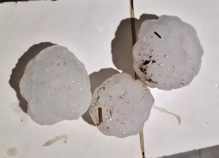 Granizo com pedras acima de 100 gramas provoca estragos em Entre Rios do Oeste