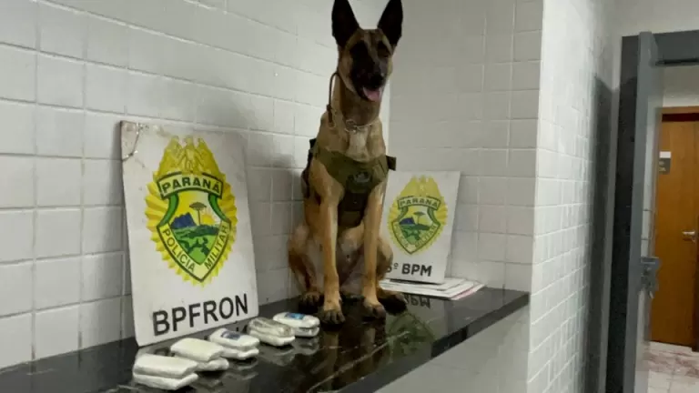 BPFron apreende drogas e cigarros em fiscalização na BR-277 em Cascavel