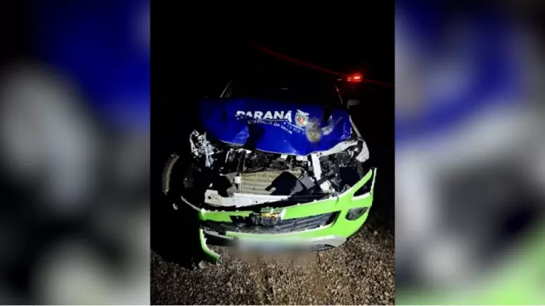 Carro da Prefeitura de Santa Helena atinge bovinos na PR-488 em Santa Helena