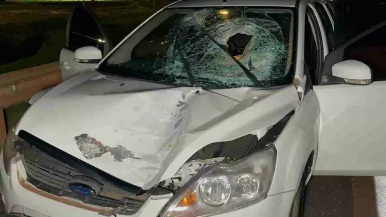 Homem morto em atropelamento na BR-277 é identificado