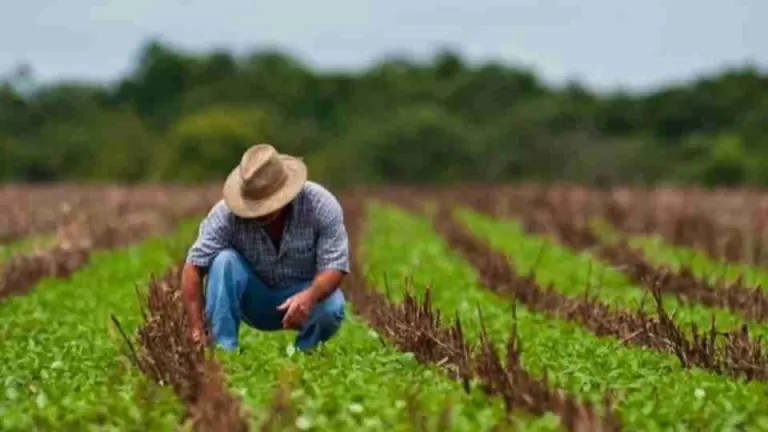 Prorrogado prazo da restrição no crédito por regra ambiental
