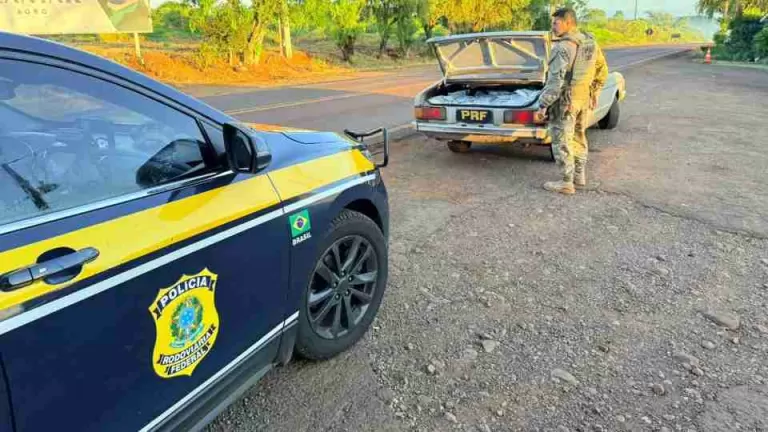 PRF apreende 200 quilos de agrotóxicos na PR-180