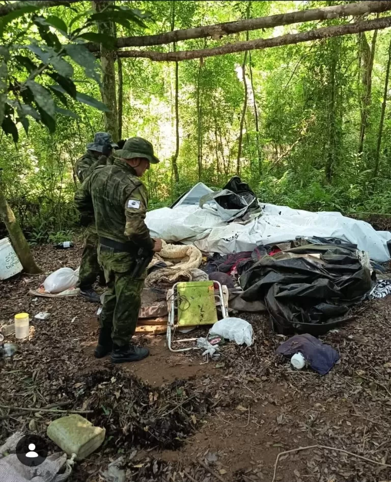 Operação destrói acampamento de caça ilegal no Parque Nacional do Iguaçu