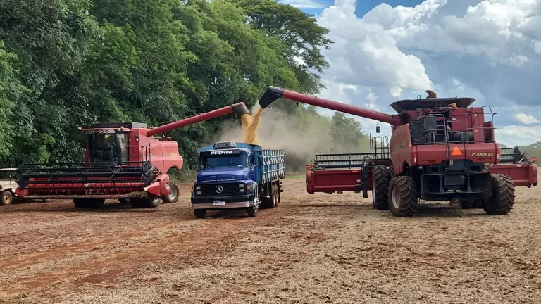 Copagril recebe primeira carga de soja da safra 2025/2026