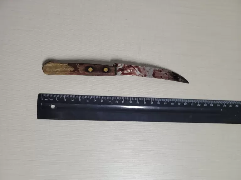 Polícia prende homem que tentou matar idosa em Toledo