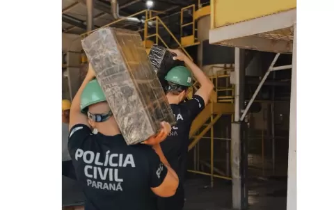 Polícia Civil de Marechal Rondon destrói grande quantidade de drogas