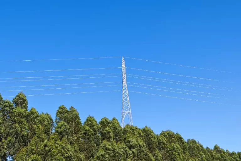Copel conclui 151,5 quilômetros de novas linhas de alta tensão no Paraná em 2025