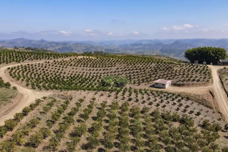 Paraná em Números: painel do Ipardes apresenta dados econômicos e do agronegócio