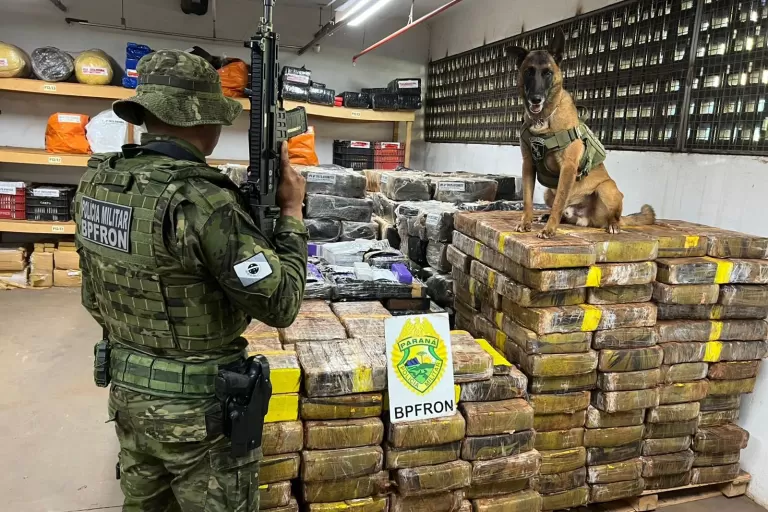 PMPR apreende 1,5 tonelada de maconha escondida em área de mata em Santa Helena