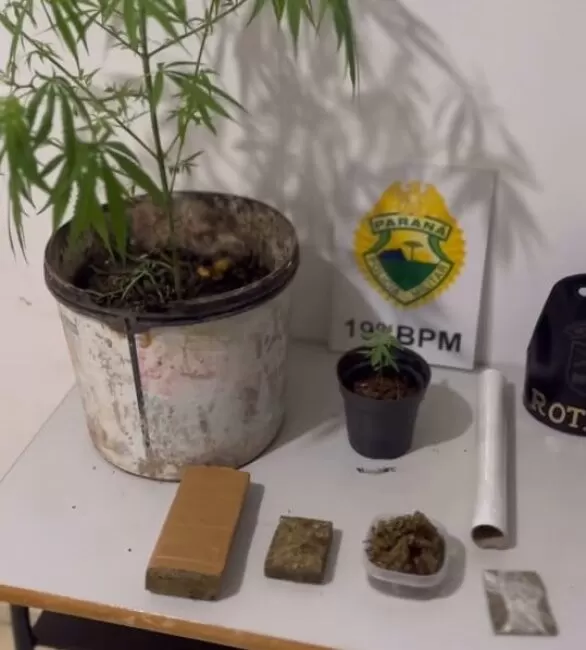 Homem é preso pela Rotam com drogas e pés de maconha em residência de Toledo