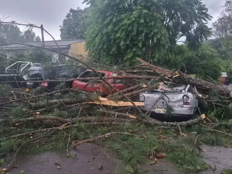 Tempestade em Curitiba traz granizo, derruba árvores sobre carros e deixa alagamentos