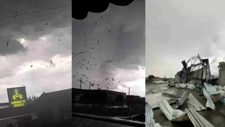 Rastro de destruição marca São José dos Pinhais após passagem de tornado