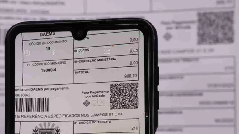 Moradoras de Mercedes e Pato Bragado são vítimas de golpe ao pagar IPVA e licenciamento em site falso