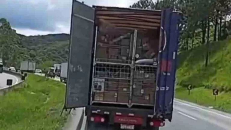 Carreta da Havan é saqueada durante congestionamento em rodovia de São Paulo