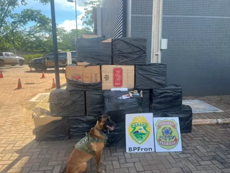 Polícia localiza cigarros paraguaios em mata no interior de Mercedes