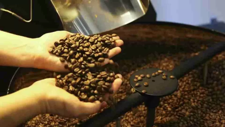 Exportação de café do Brasil cai em 2025, mas bate recorde em receita