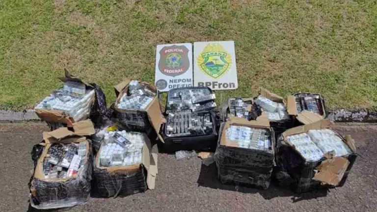 Pneus e anabolizantes são apreendidos em porto clandestino de Foz do Iguaçu