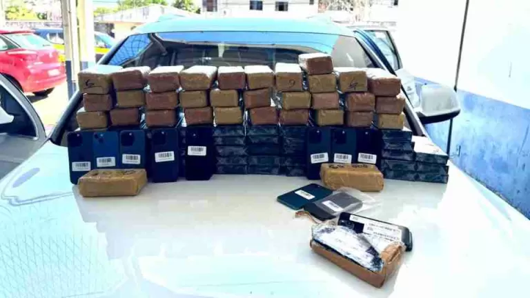 Mais de 230 celulares são apreendidos em veículo na BR-277 em Cascavel