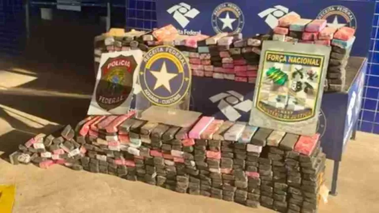 Quase 270 quilos de maconha são apreendidos na Ponte da Amizade