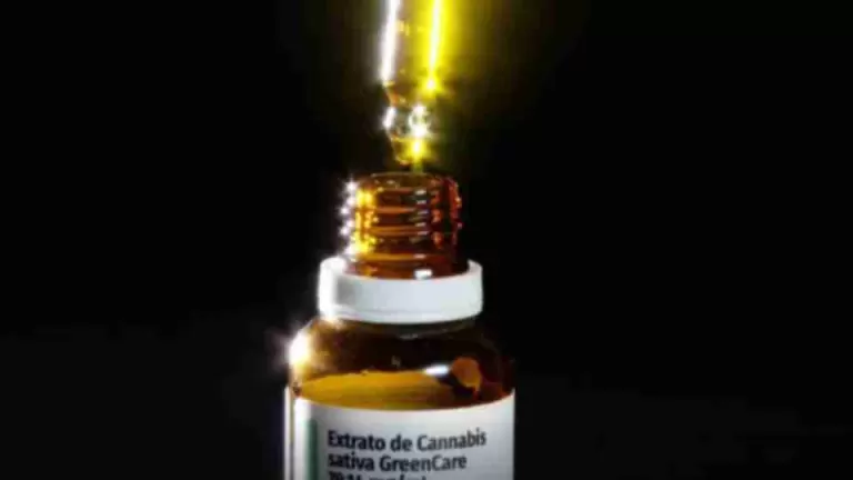 Cannabis medicinal tem uso ampliado no Brasil com novas regras da Anvisa