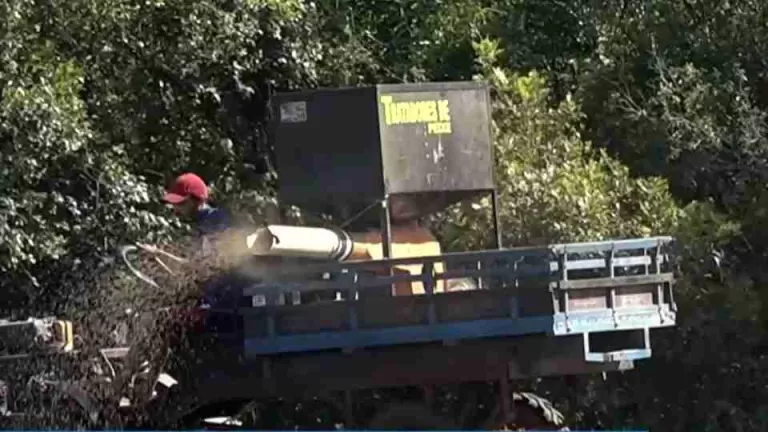 Paraná publica decreto que reduz ICMS da ração utilizada na piscicultura