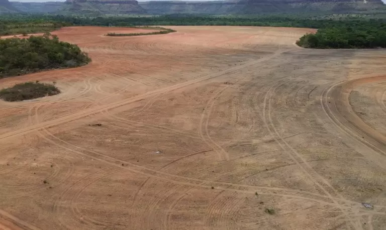 Exportadores de soja deixam acordo sobre desmatamento na Amazônia