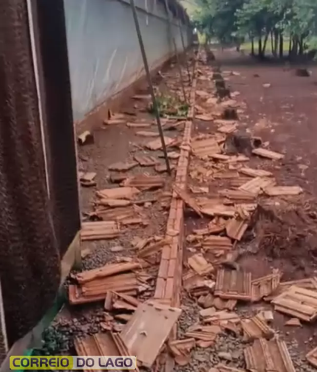 Vento forte causa danos em aviários no interior de Santa Helena