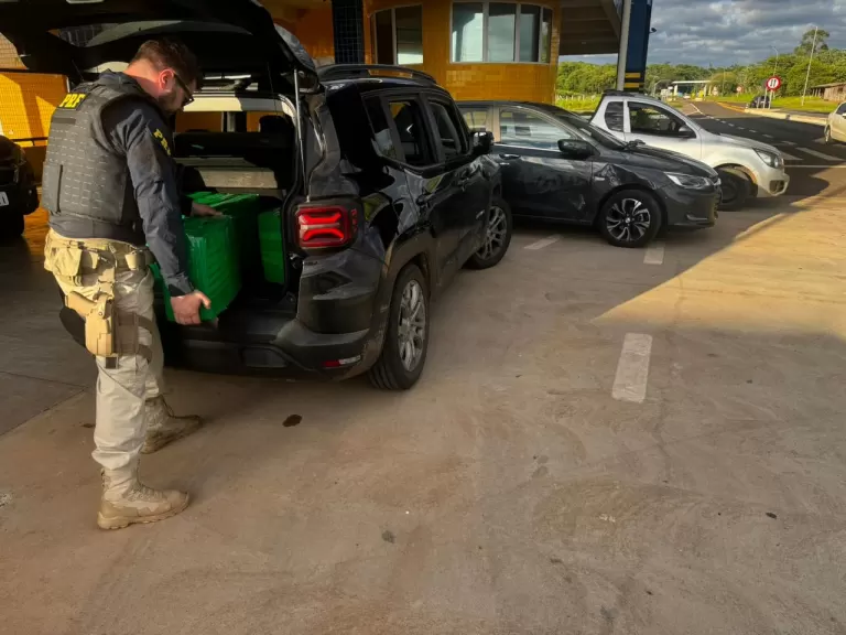 PRF apreende 224 quilos de maconha e desarticula comboio de transporte de drogas no Paraná