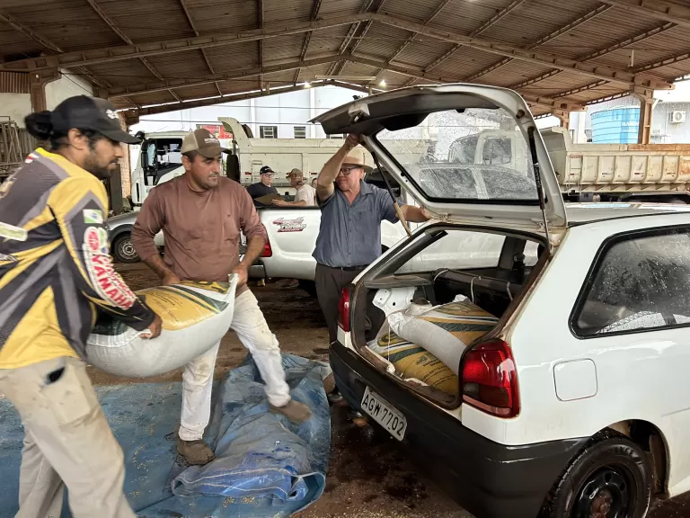 Prefeitura de Mercedes abre inscrições para incentivo na aquisição de sementes de aveia