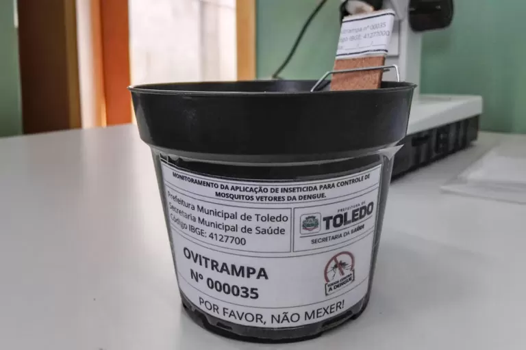Adoção de ovitrampas traz mudanças no combate ao Aedes aegypti em Toledo