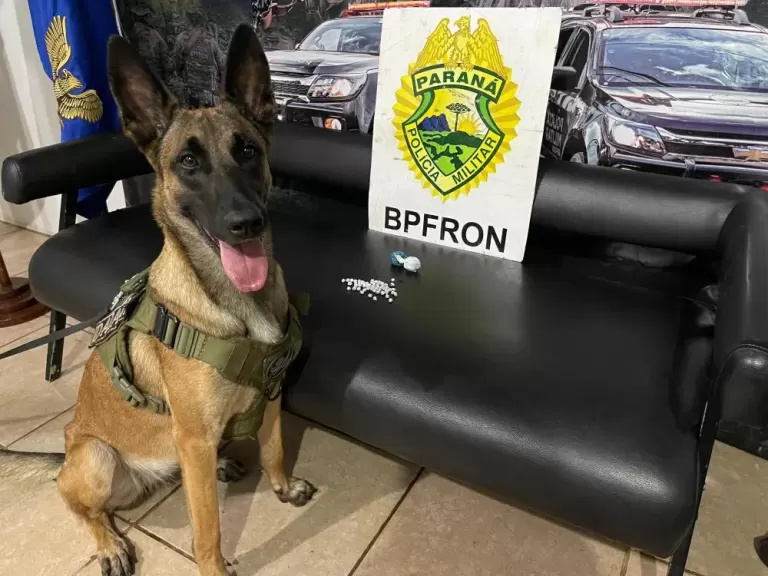 BPFron e Polícia Federal apreendem drogas em residência de Marechal Rondon