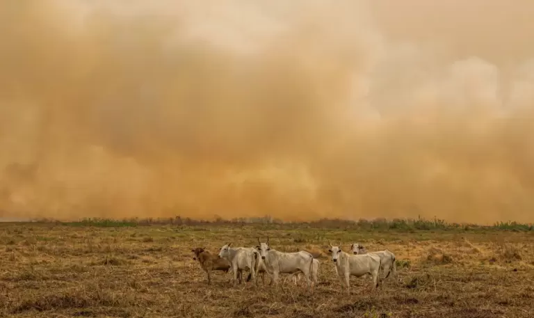 Brasil registra janeiro com mais de 4,3 mil focos de calor, aponta Inpe