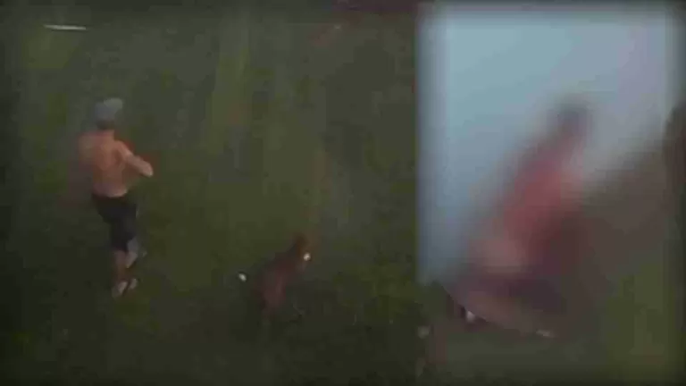 Homem é preso na região por abuso sexual contra cachorro; veja vídeo