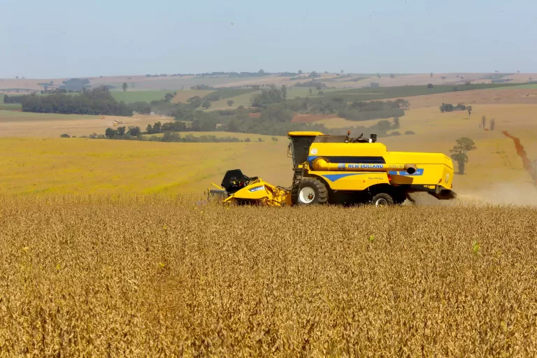 Safra de Soja do Paraná se aproxima do recorde e novo boletim reforça otimismo
