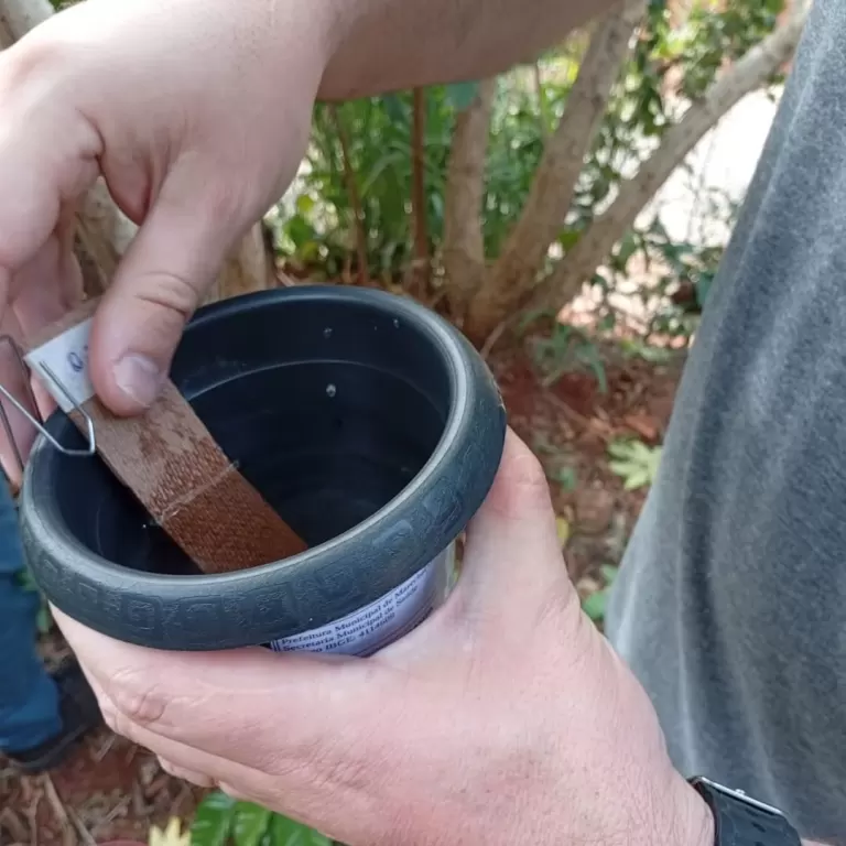 Endemias amplia monitoramento e reforça combate à dengue em Marechal Rondon