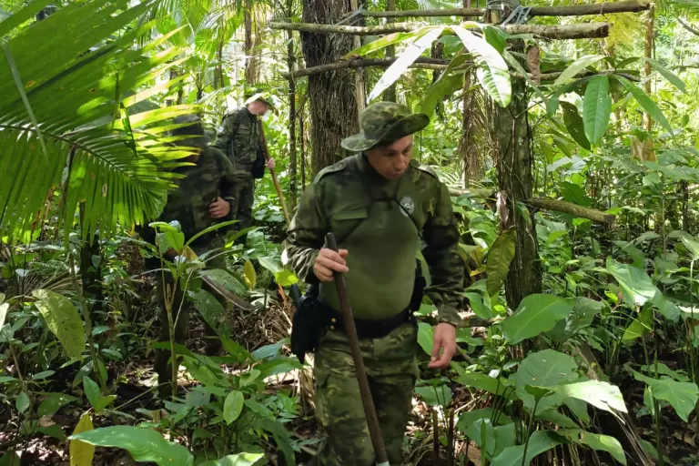 Fiscalização na APA de Guaraqueçaba desmonta ranchos clandestinos e pontos de caça ilegal