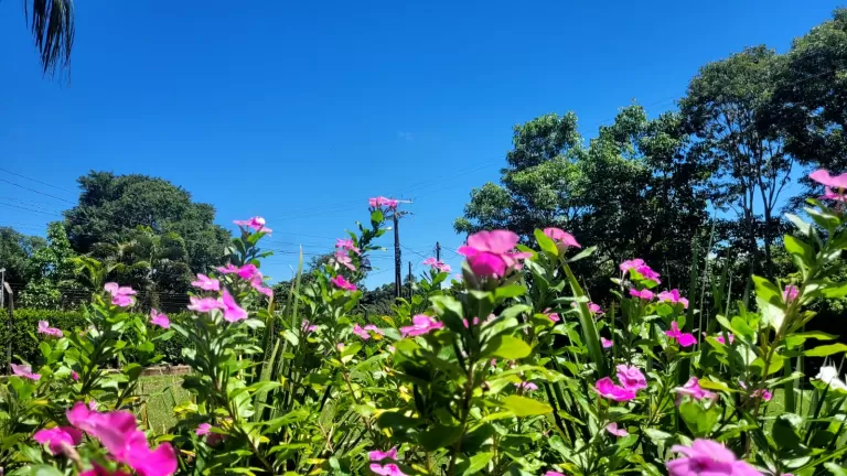 Marechal Rondon tem terça-feira ensolarada e máxima prevista de 30°C