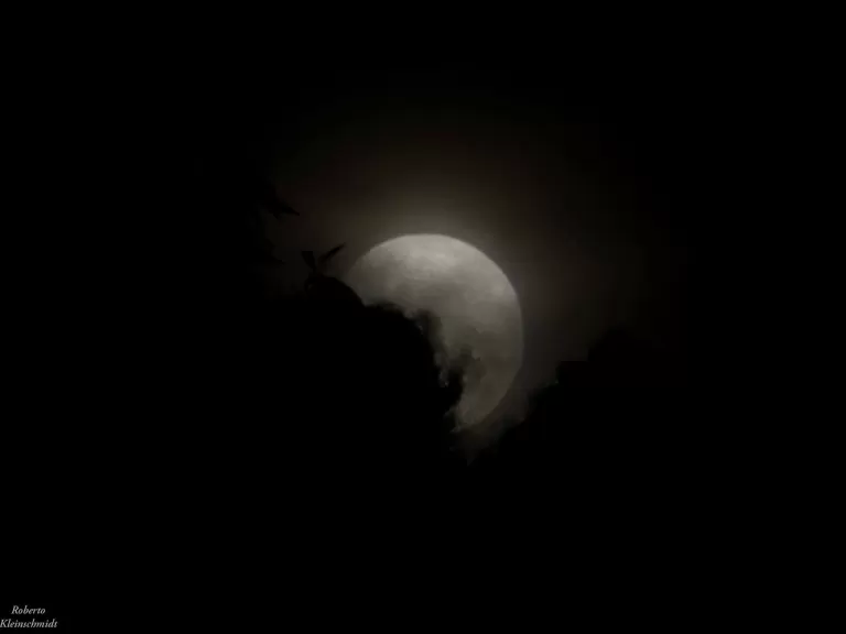 Lutar! Lutar! Lutar!