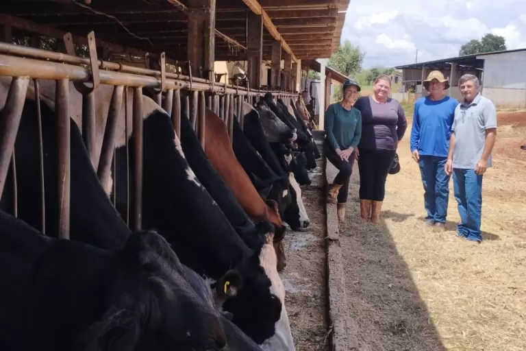 Melhorias do solo, pastagens e nutrição do rebanho fortalecem pecuária leiteira do Paraná