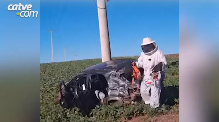 Enxame de abelhas provoca capotamento e deixa mulher internada; veja vídeo