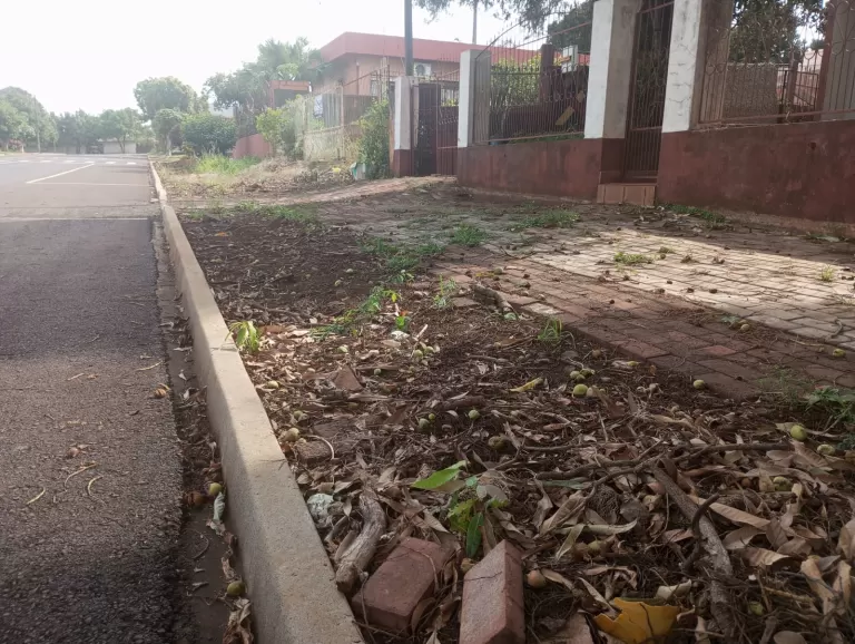Valdir Sachser cobra construção de calçadas e arborização na rua Dom João VI