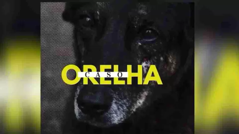 Polícia Civil conclui investigação sobre morte de cão Orelha e maus-tratos em Florianópolis